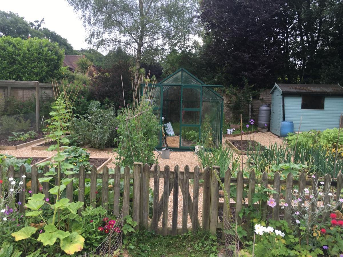 Bed and Breakfast Fernwood Ringwood Esterno foto