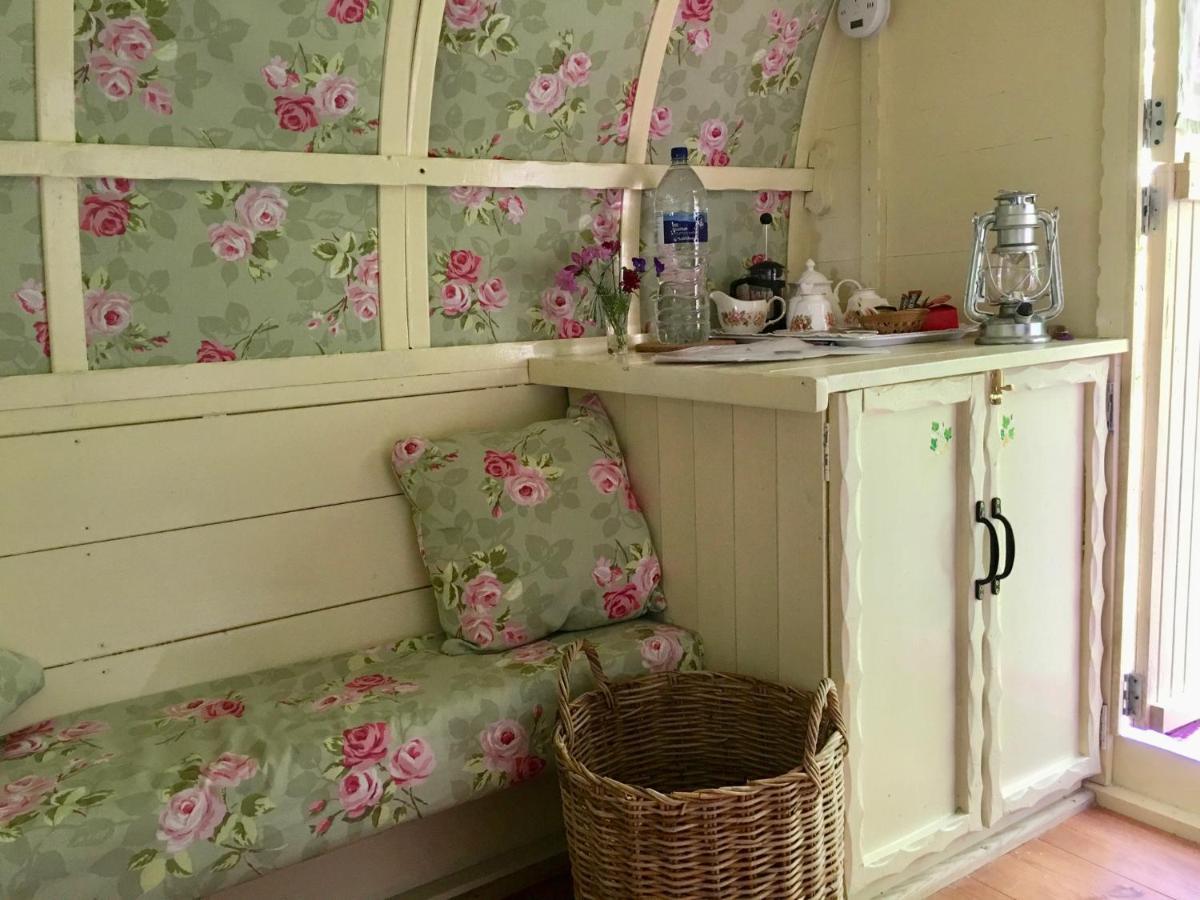 Bed and Breakfast Fernwood Ringwood Esterno foto