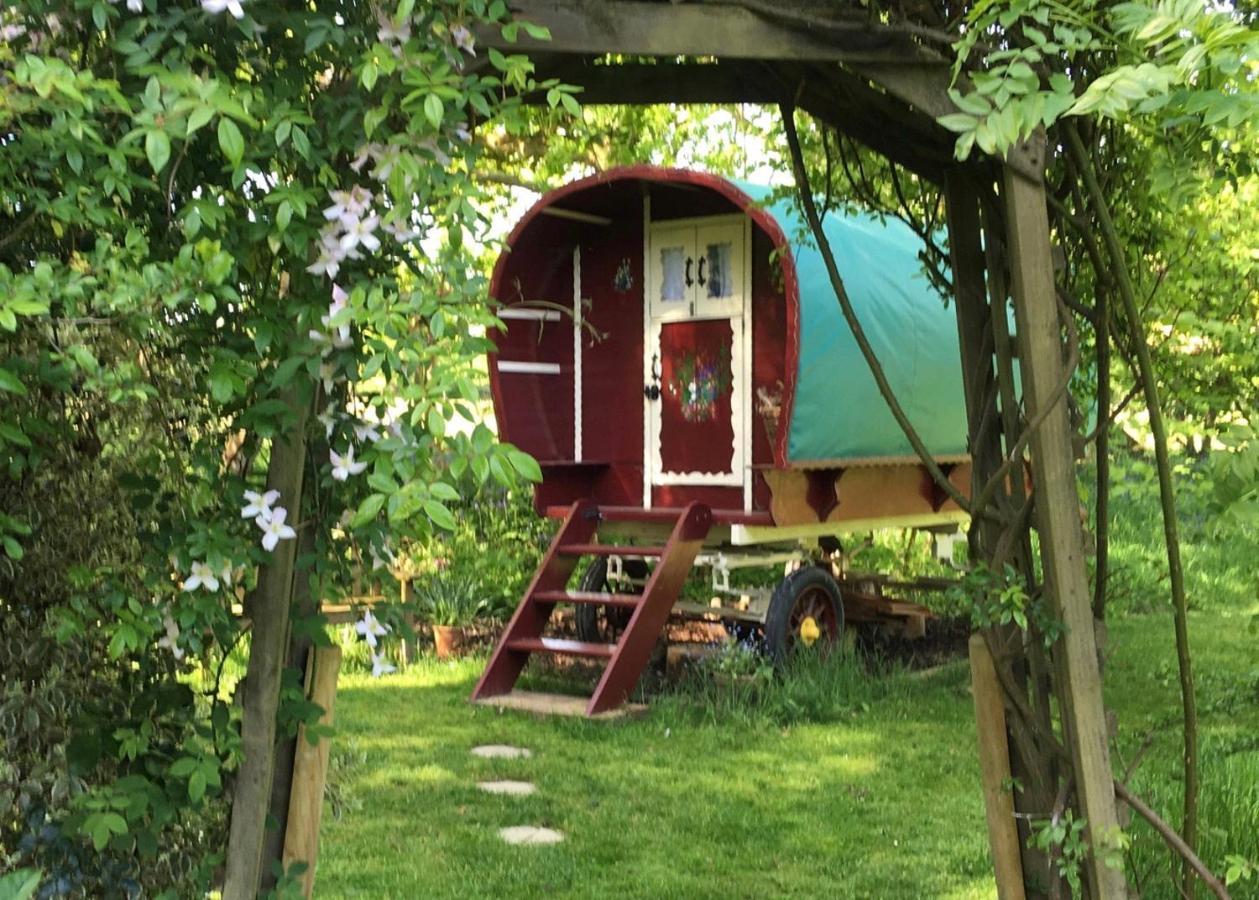 Bed and Breakfast Fernwood Ringwood Esterno foto