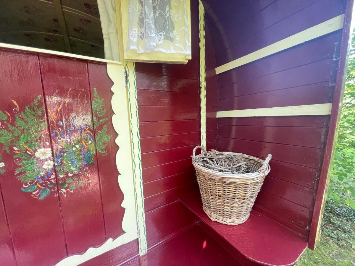 Bed and Breakfast Fernwood Ringwood Esterno foto