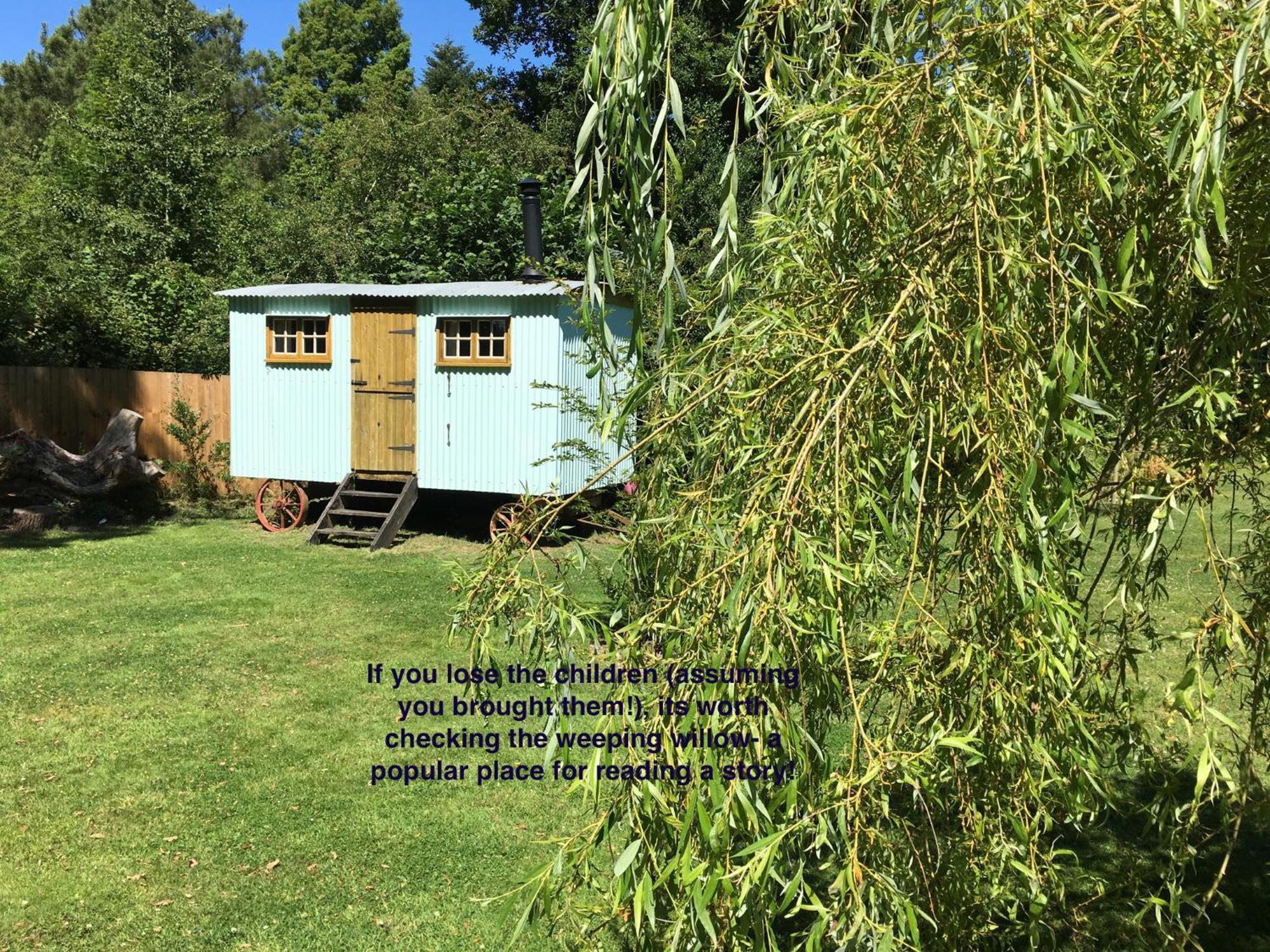 Bed and Breakfast Fernwood Ringwood Esterno foto