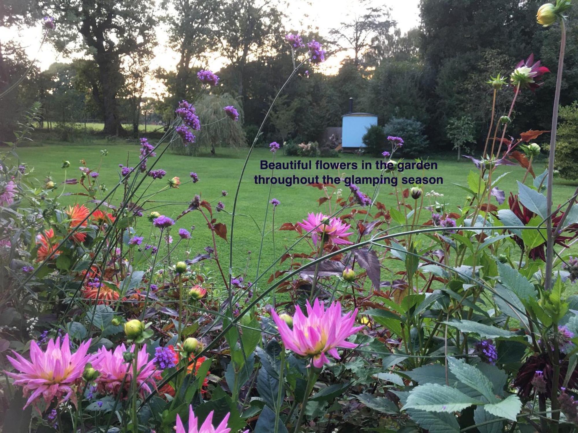 Bed and Breakfast Fernwood Ringwood Esterno foto